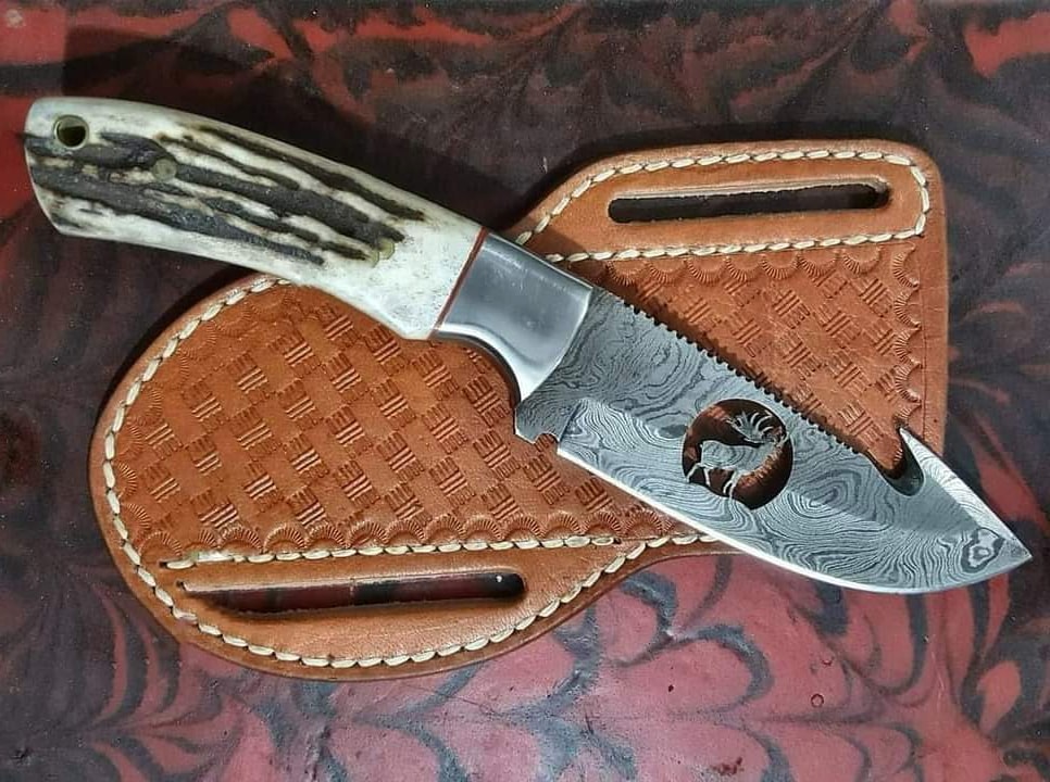 Stag Gut Hook Knife 80043 Hunting Knivesco