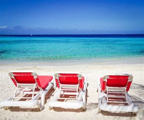 Dushi Curaçao 2025 Mo𝚟ie